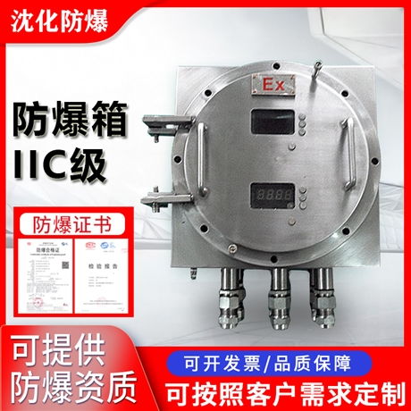 防爆变频器控制箱 温控仪表高温报警系统 称重仪表箱