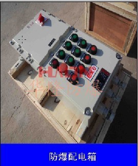 【BXM(D)51,防爆配电箱,配电箱,华隆】价格,厂家,图片,其他安检防爆器材,郑州华隆防爆电气-