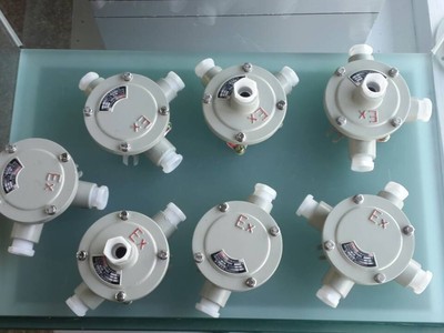 BHD51-G1/2E90度二通增安防爆端子盒生产厂家_防爆电器栏目
