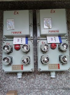 BXS51-3/100A挂式明装防爆检修电源箱_电子电工仪器_其它_其它仪器仪表_产品库_中国化工仪器网