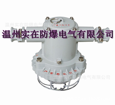 【供应矿用隔爆型LED巷道灯】价格,厂家,图片,其他安检防爆器材,温州实在防爆电气-
